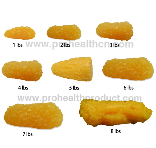 1000g Soft Anatomical Fat Blocks Model Replica