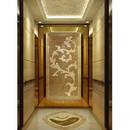 630kg Brand Passenger Lift Elevator Price with Easy Installation