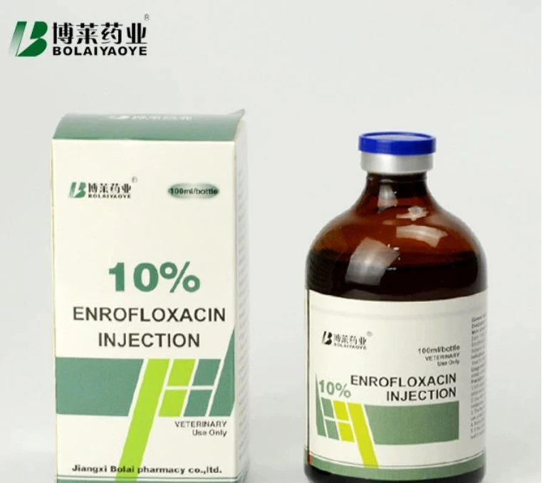 Good Price Enrofloxacin Injection 10% Liquid Injection 100ml Bolai