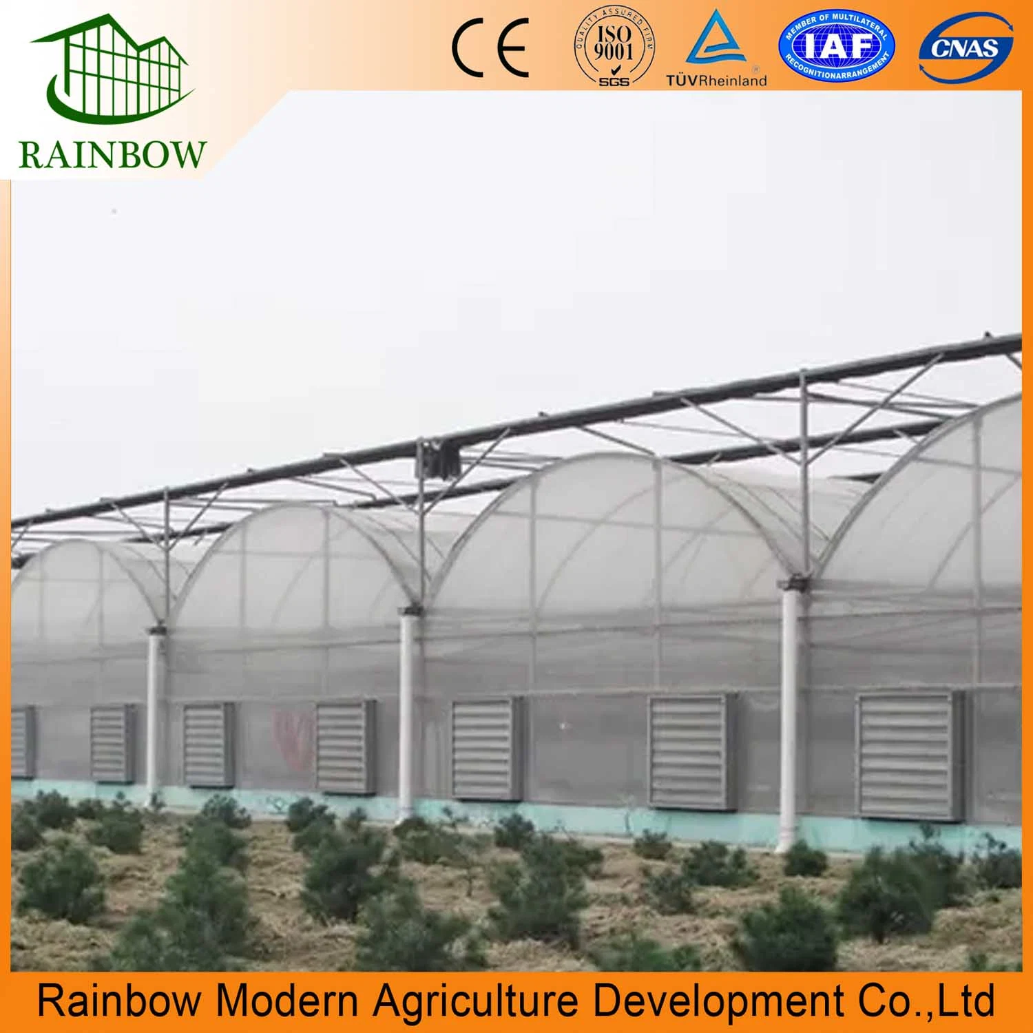 China Greenhouse Supplier