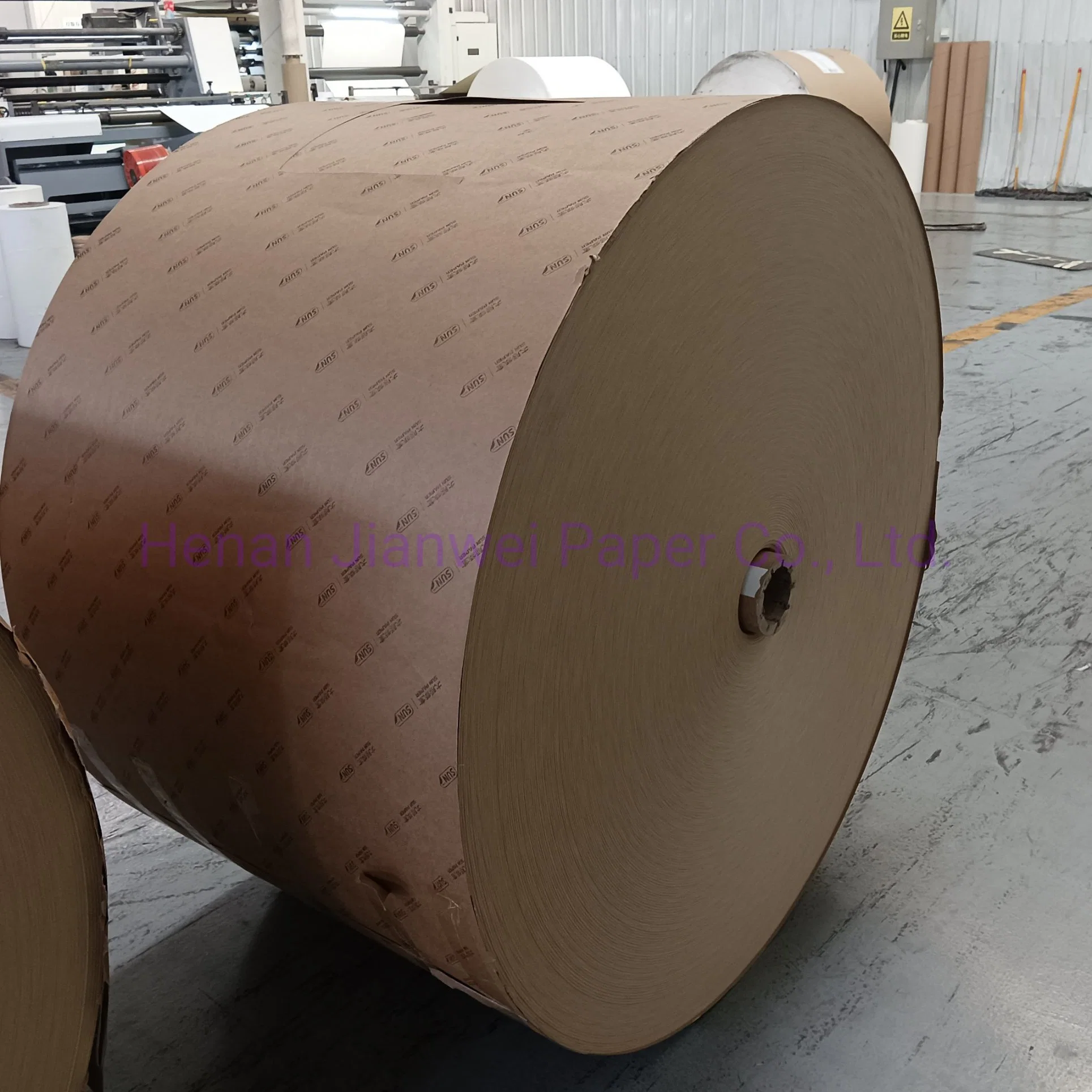 Factory Direct Best Sale Kraft Paper in Roll PE Coated Brown Paper