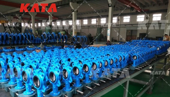 Gear Operator Soft Seat Lug Cast Iron Center Line Wafer Type Butterfly Valve