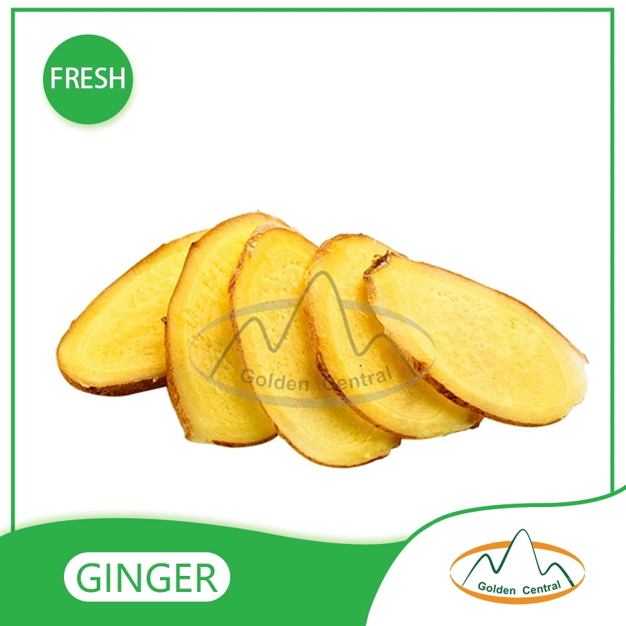 Wholesale Organic Fresh Ginger in Best Cheap Price