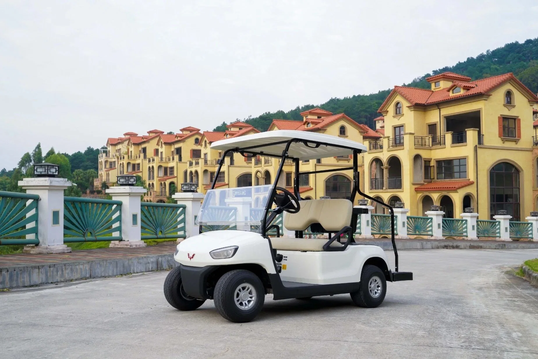 China Supplier Golf Cart Custom 2 4 6 Seater Golf Car Utility Vehicles