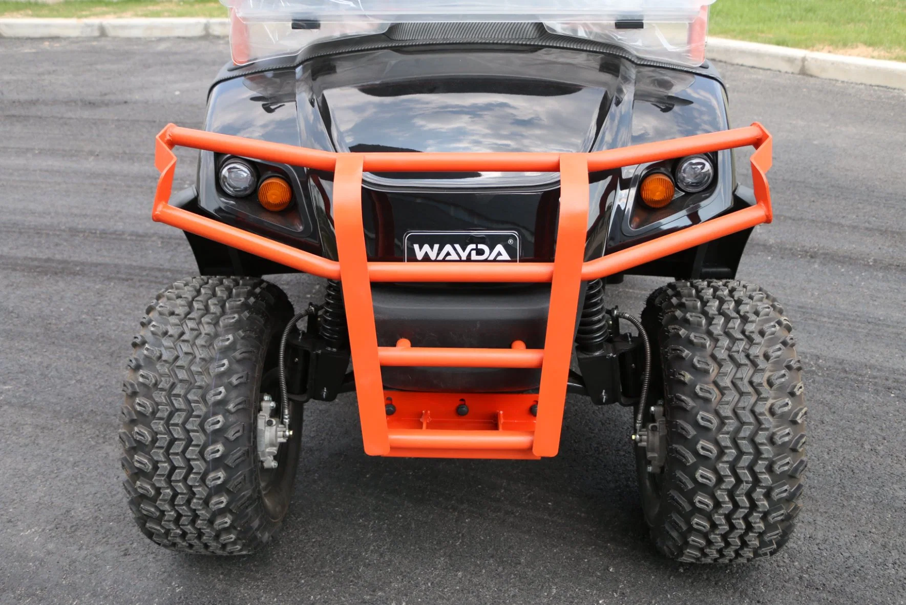 Electric Golf Cart with Lithium Battery Better Than Other Brand