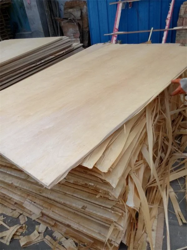 Chinese Factory Board Timber Raw Material Birch Veneer Plywood