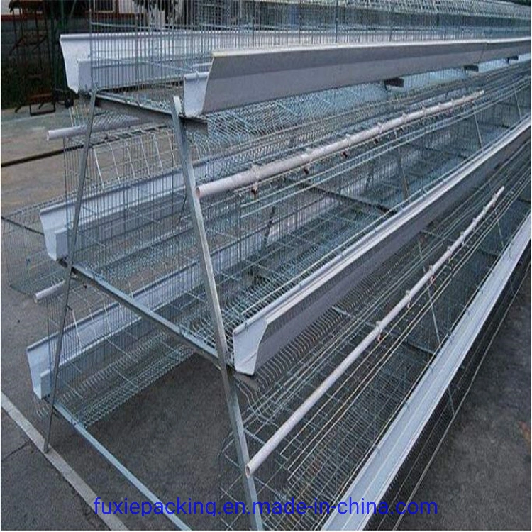 Supply Completely Automatic Laying Hen/Egg Layer Battery H Type Chicken Cages System