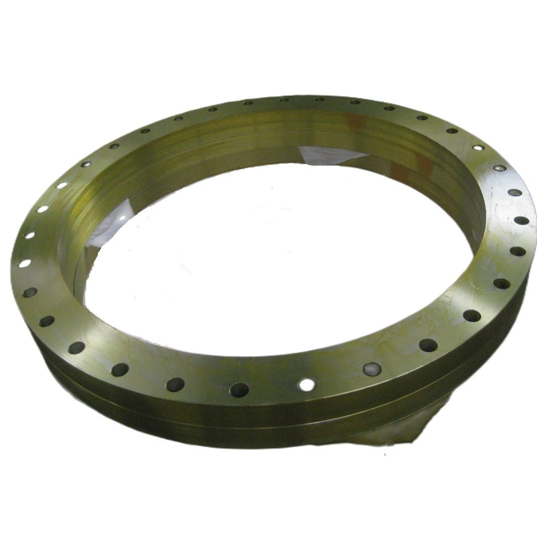 En1092-1 Type 01 Dn750 Pn10 Steel Plate Flange