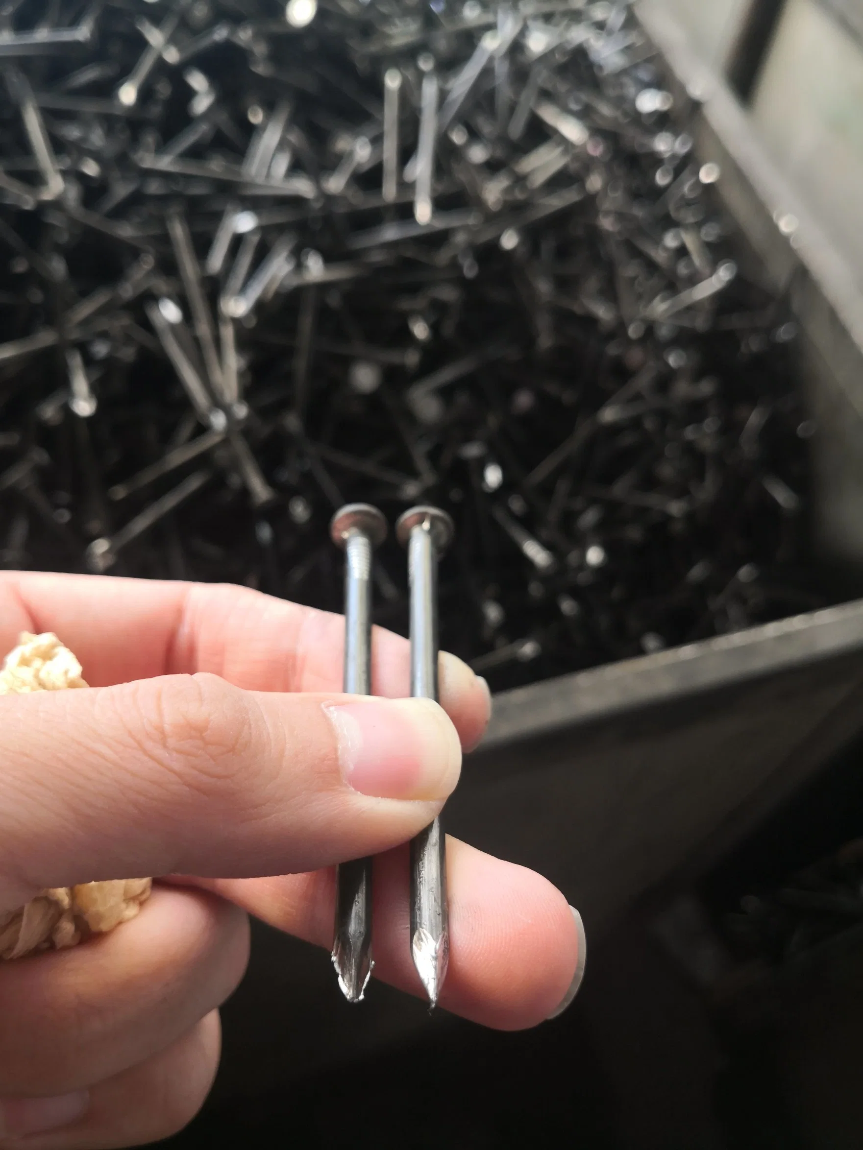 Iron Wire Common Nails Galvanized Tacks