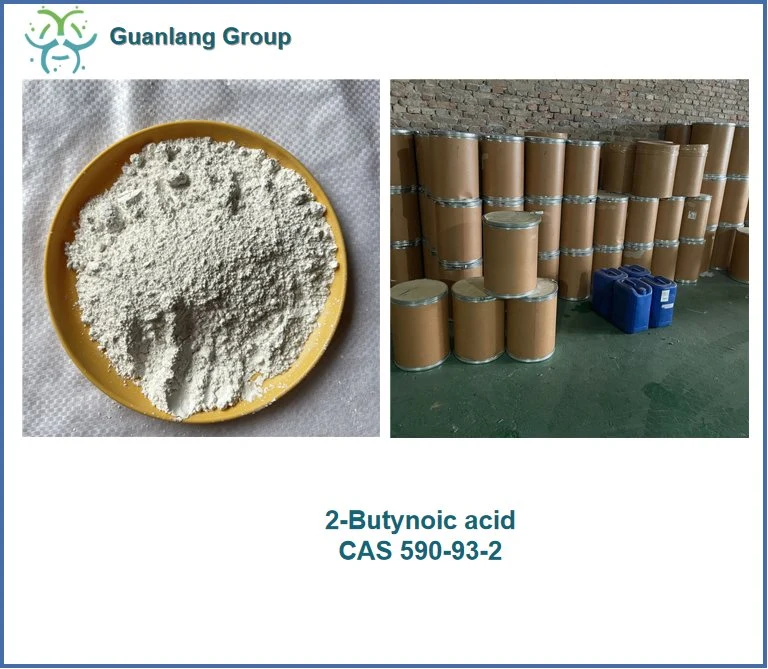 Chemical Factory Supply 2-Butynoic Acid CAS 590-93-2 Stock Now with Low Price