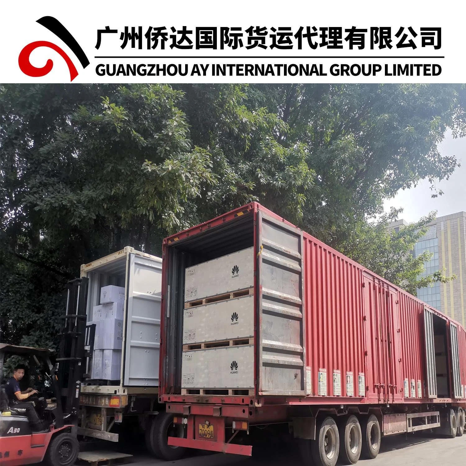 Servicio de almacén de Zhongshan con agente de exportación profesional de Guangzhou