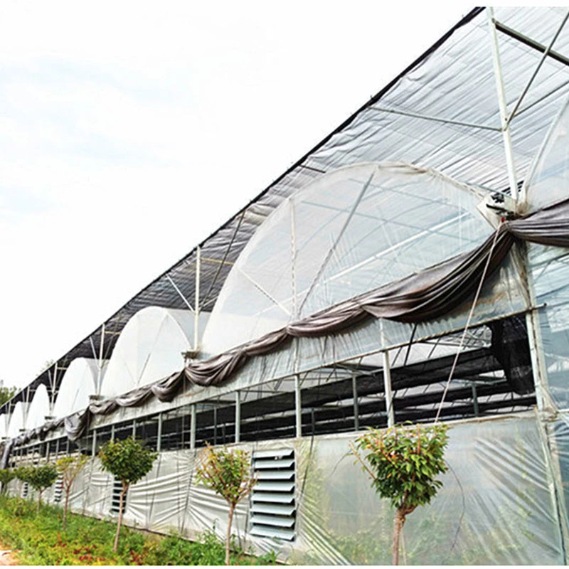 Vegetable Plastic Multi Span Film Poly Greenhouse with Hydroponic