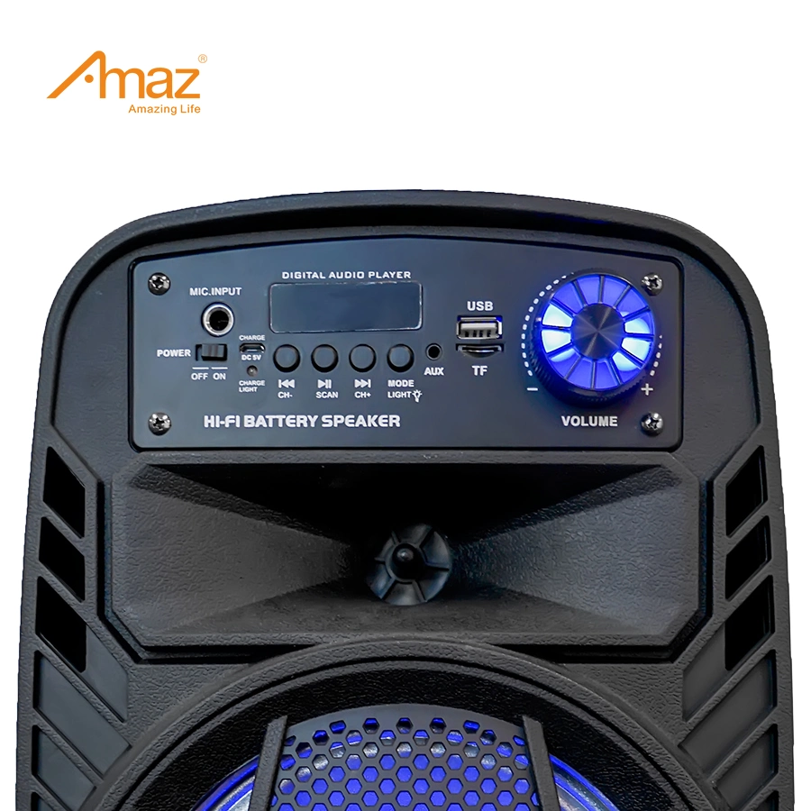 AMAZ Factory Wholesale/Supplier personnalisé 8 pouces portable Haut-parleurs Bluetooth Avec lumière RVB