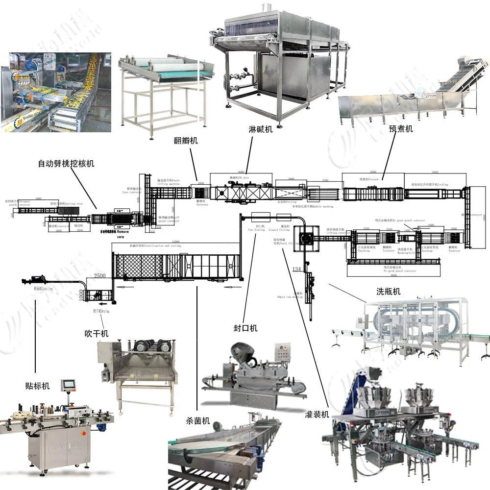 Multi-Head totalmente automática con un peso de la planta de conservas y enlatados de la máquina de producción de alimentos