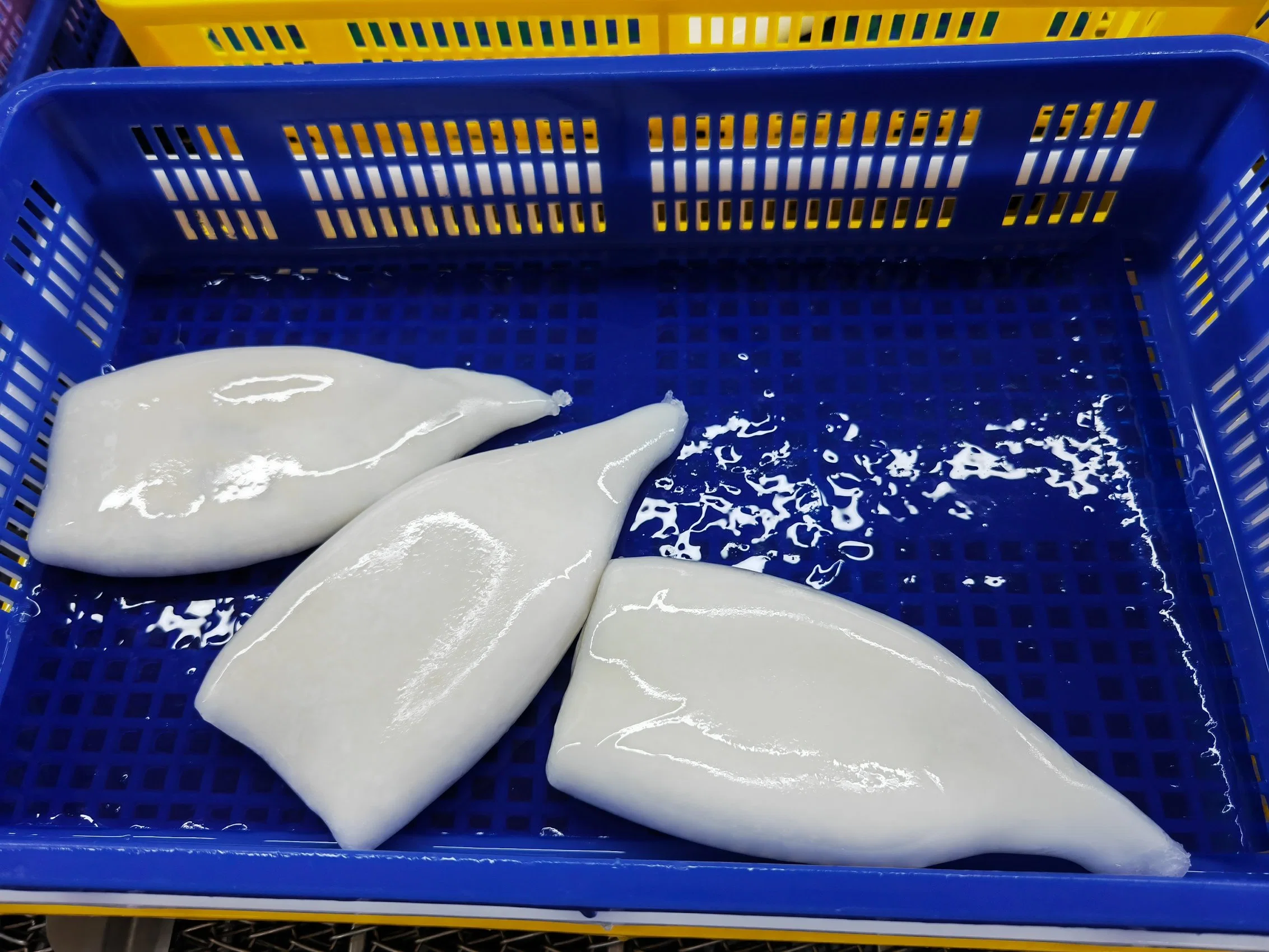 Frozen Illex Squid Tube, /Gigas Squid Tube/ Giant Squid Tube/Peru Squid Tube/Calamari/ Calamar/ Pota/Seafood/Sotong