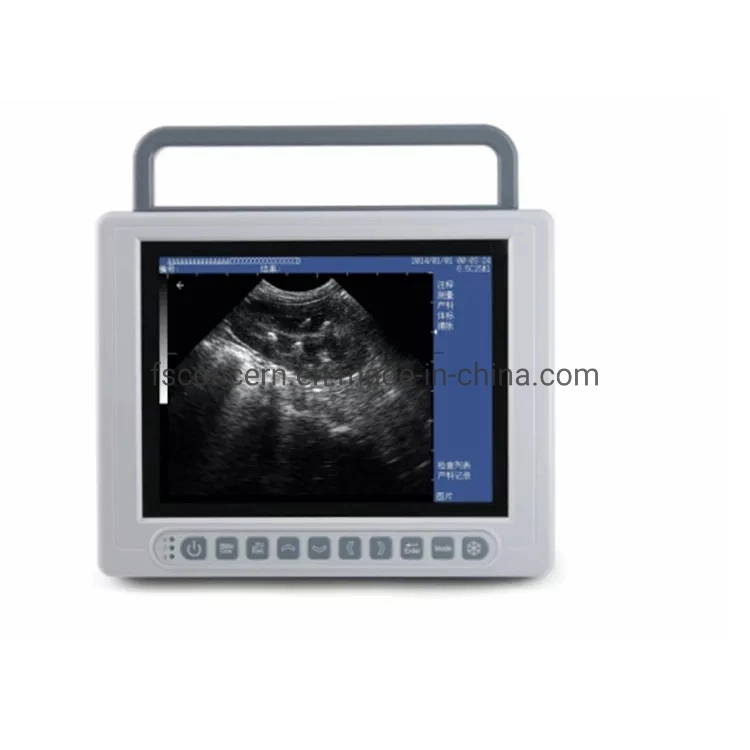 Veterinary Clinic Machine Cheap Vet Portable Ultrasound Animal Pregnancy Scanning Equipment