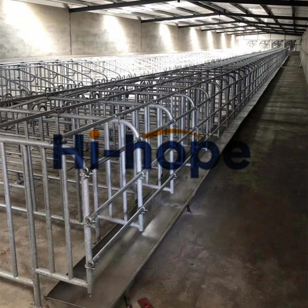 Pig Farm Design Pig Farming Business Plan Farrowing Pen Gestation Pen