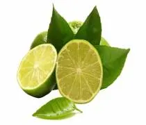 Lime Flavor Liquid Flavor for Food Drink