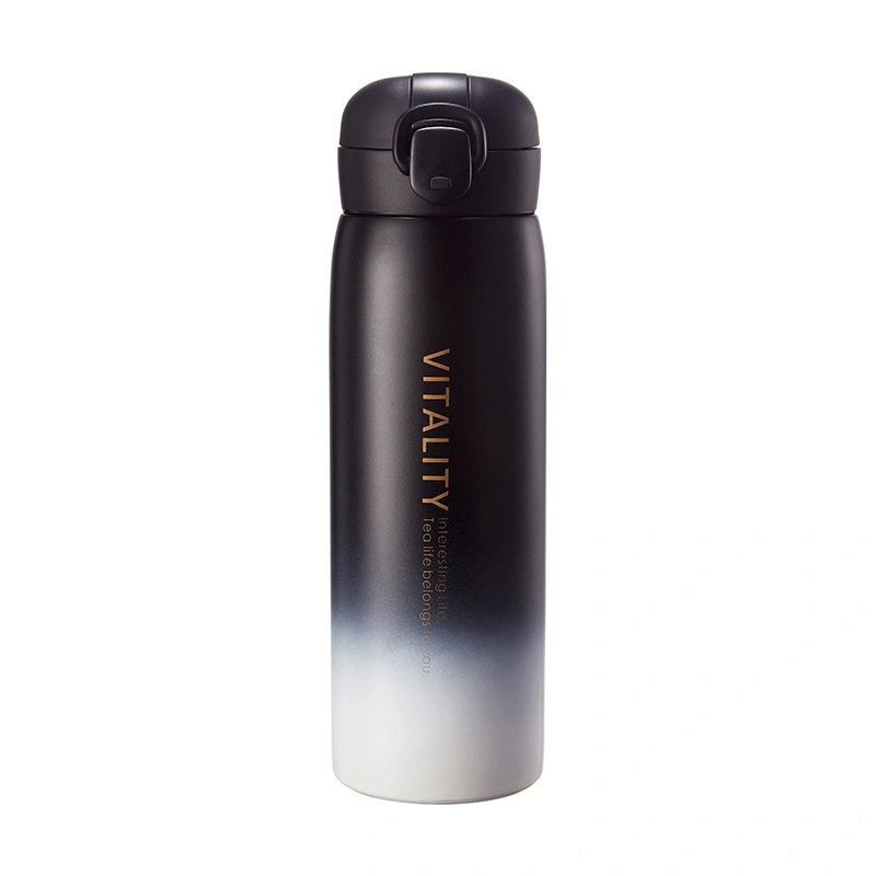 Wholesale/Supplier Water Bottle BPA Free Stainless Steel Vacuum Insulated Flask