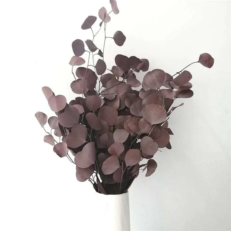 Factory Supply Preserved Dried Foliage Arrangement Eucalyptus for Wedding Christmas Decoration