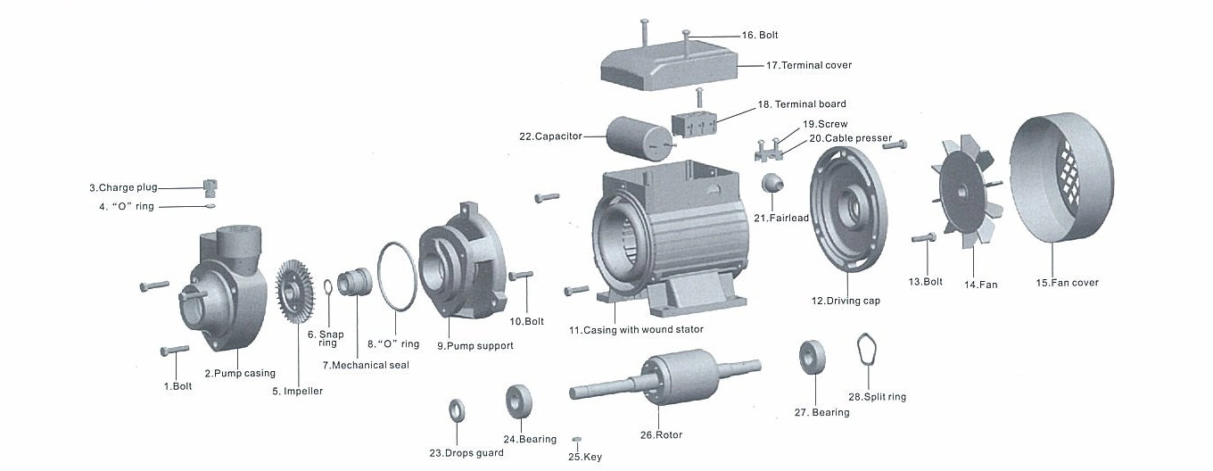 Elestar Best Pump Manufacturer Automatic Water رش النظام