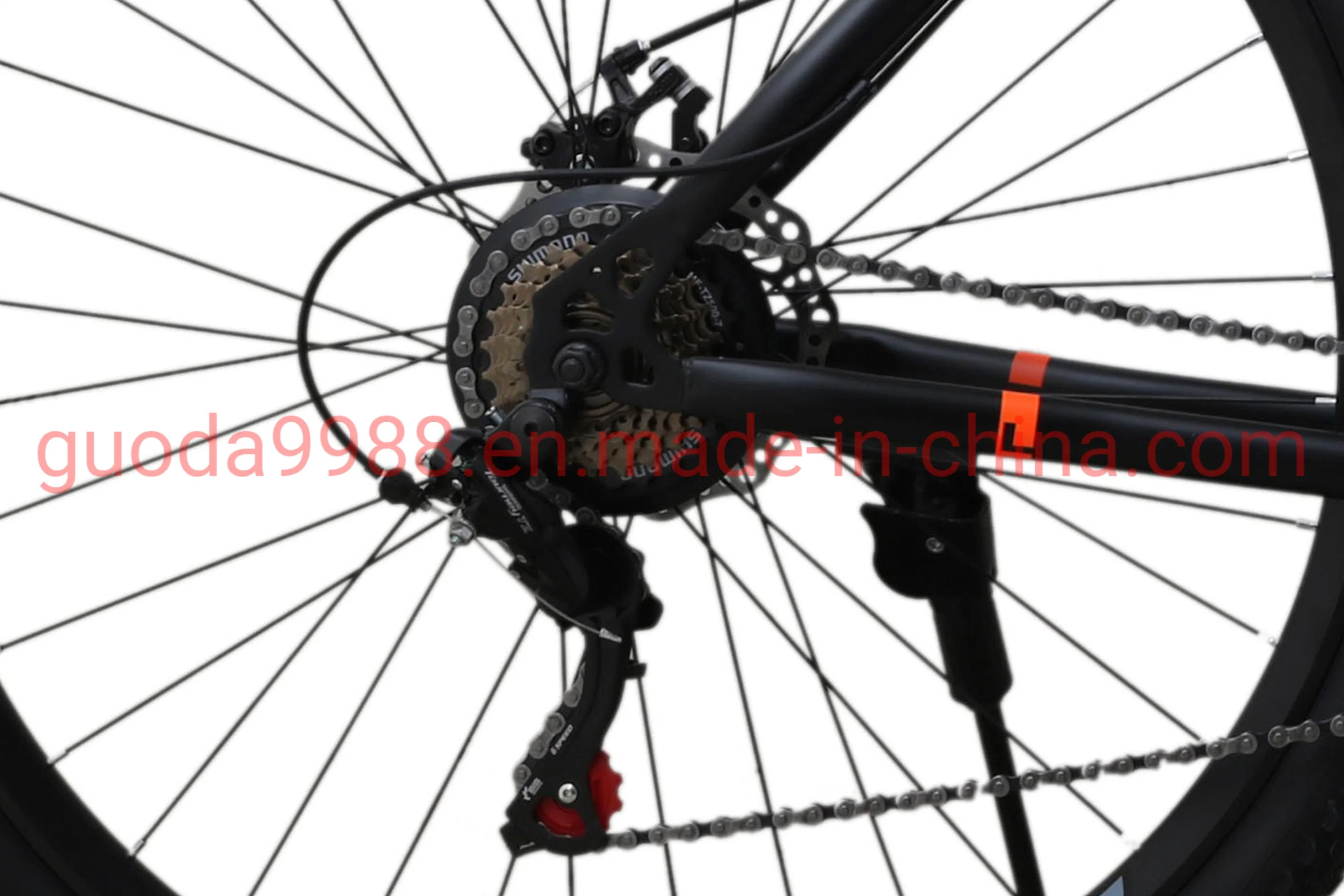 29 Inches 21 Speed Mountaiun Bicycle/Bike with Steel Frame MTB