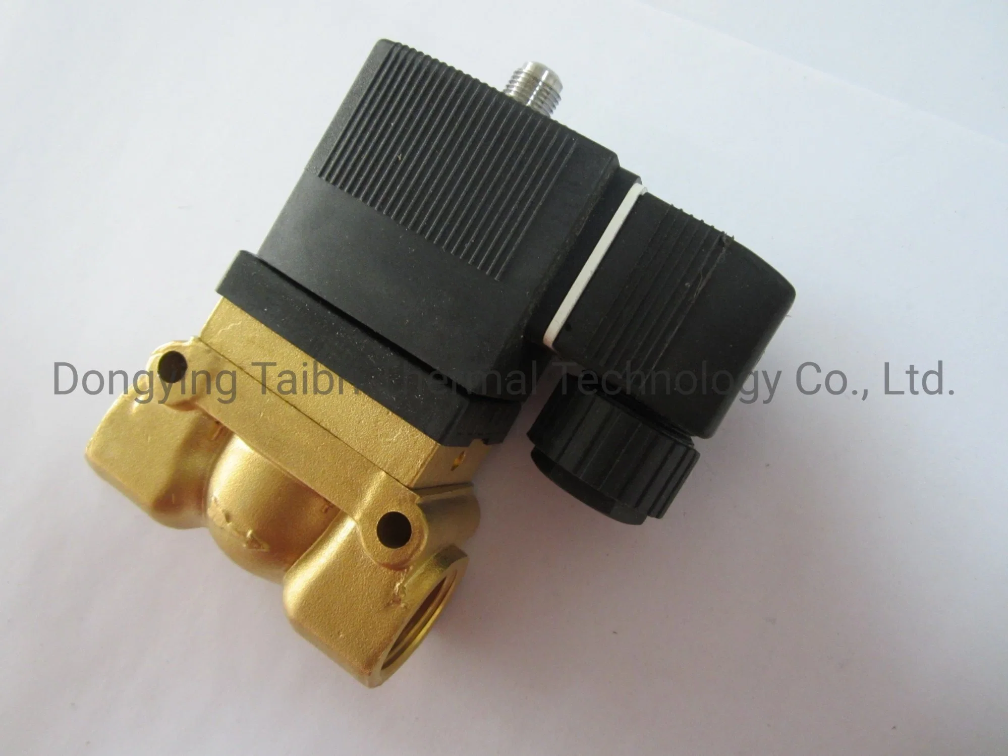 Normally Close Brass Solenoid Electromagnetic Valve Water Inlet Switch DC12V/DC24V/AC220V