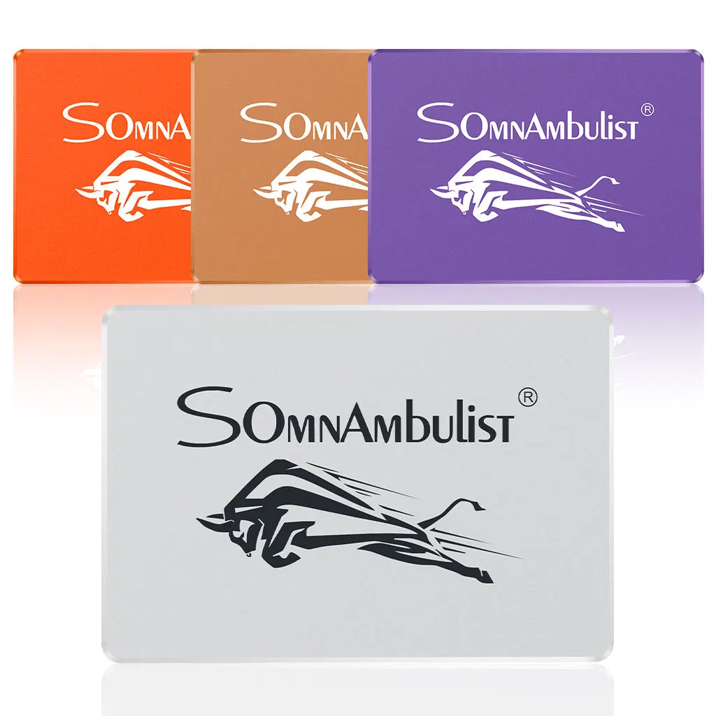 Somnambulist Gjs08 2.5" SATA 3 Internal Solid State Drive 120GB 60g 240GB 480GB 2tb 960GB SSD