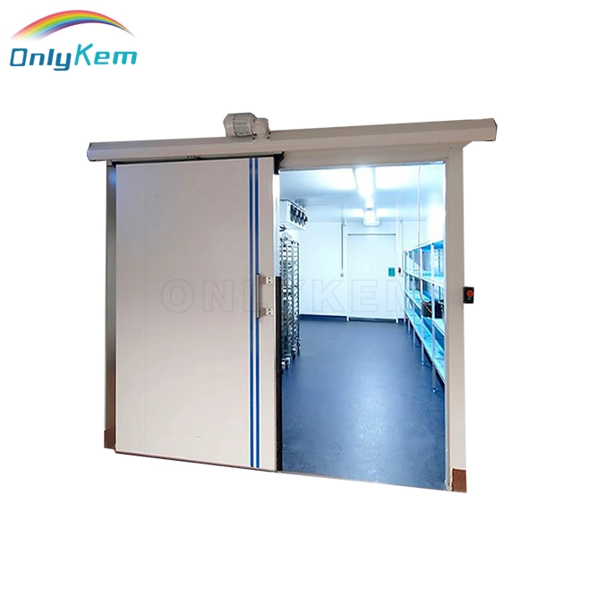 European Standard Cold Room Automatic Sliding Door for Walk in Freezer