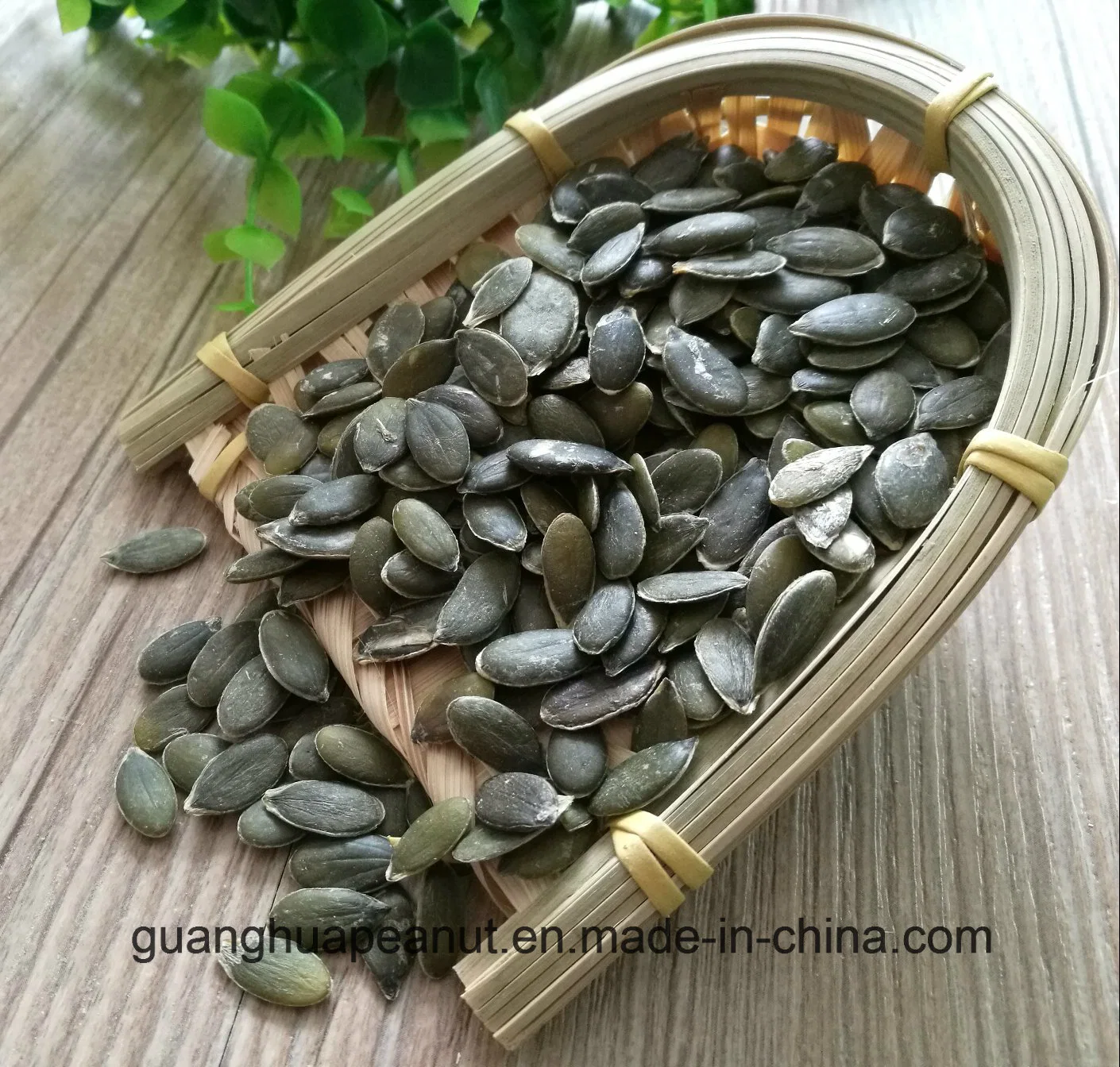 Grown Without Shell Pumpkin Seeds