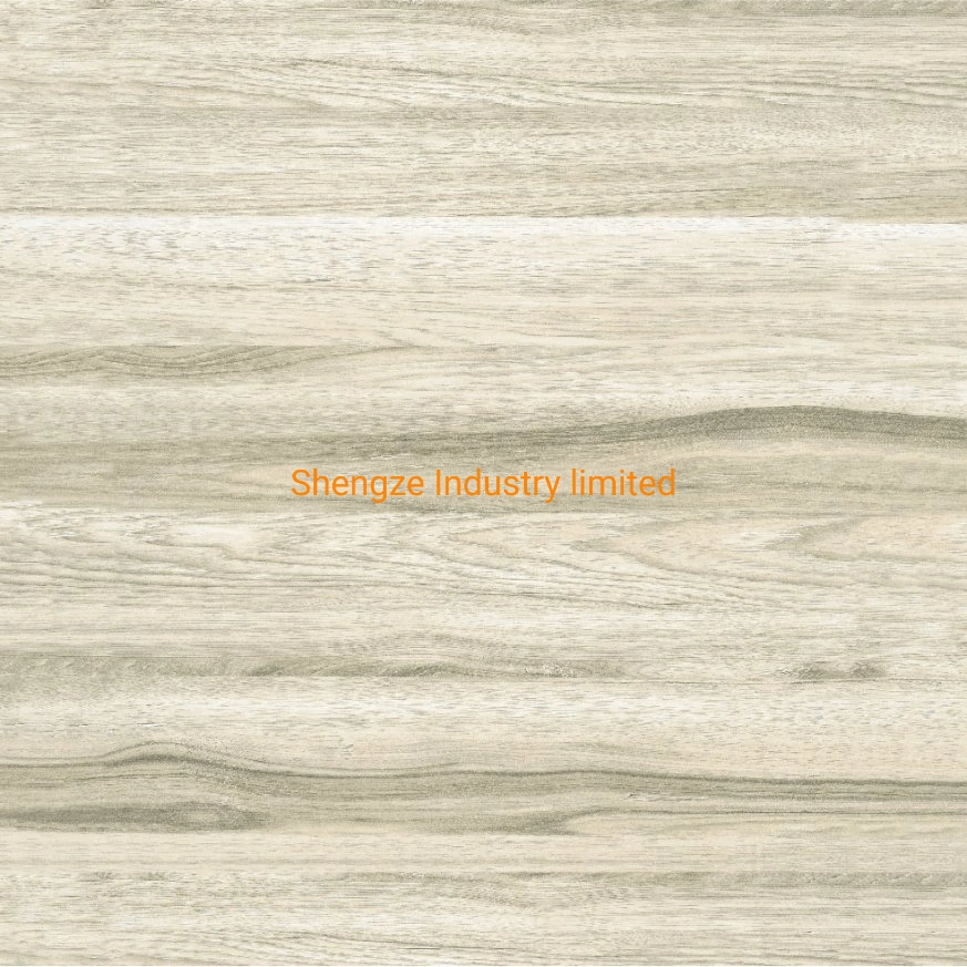 Foshan carreaux en céramique émaillée de Tuiles de marbre poli Flooring Look Porcelanato