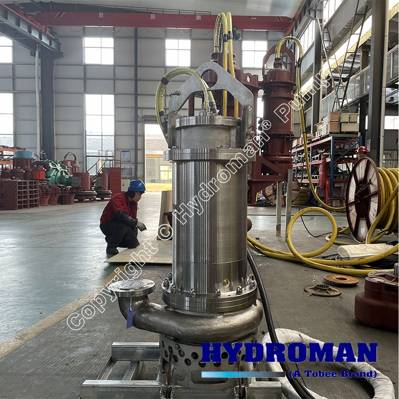 Submersible Stainless Steel Pump of Tailing Dump for Flatation Waste