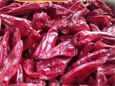 China Paprika Chilli Factory Supply Dried Chili Peppers