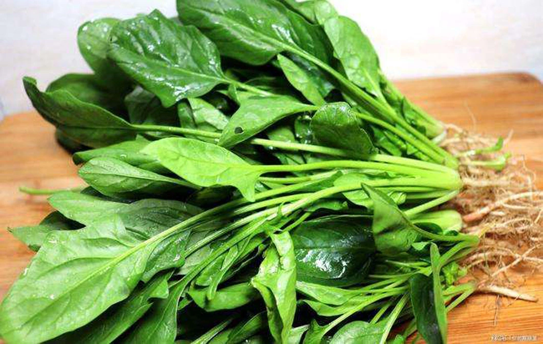 High Quality Frozen Vegetables Frozen Chopped IQF Spinach