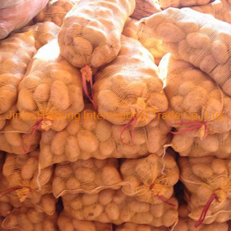 2019 New Crop Fresh Potato Which Is Ready for EU Market