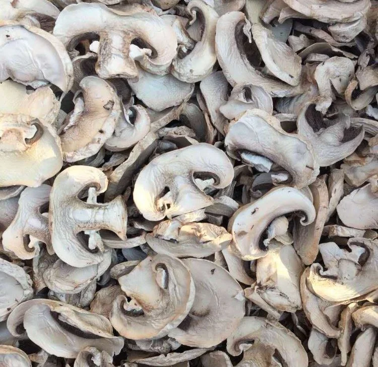 Dried Agaricus Bisporus Mushroom Dehydrated Mushroom Champignon Slice