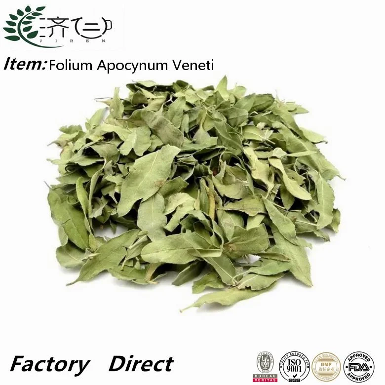 Apocyni Veneti folium высушенный Dogbane лист Apocynum Venetum листья для Травяные чаи