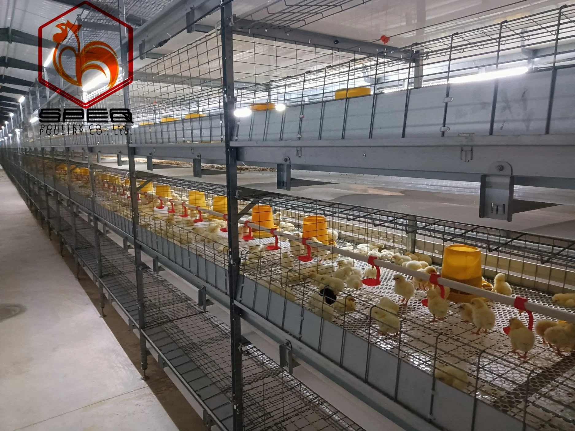 Livestock Poultry Farm Chicken Feeding Equipment Hot Dipped Galvanized Cage System