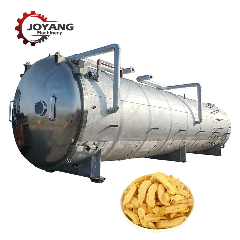 Foof Vegetable Fruit Vacuum Freeze Drying Equipment Machine