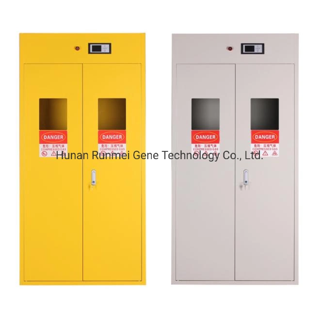 Metal Laboratory 3 Bottles Gas Cylinder Storage Cabinet