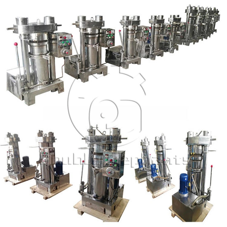 Green Olive Oil Hydraulic Oil Extraction Machine