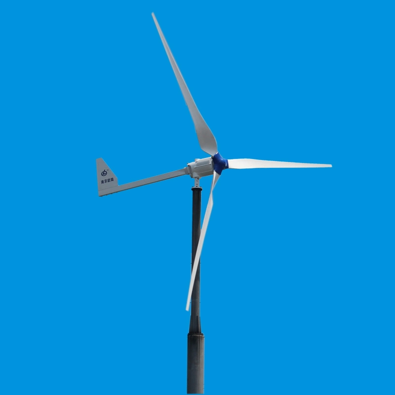 3kw Wind Mill Low Star up Speed High Efficiency Wind Turbine Generator 3000W 48V/96V/120V