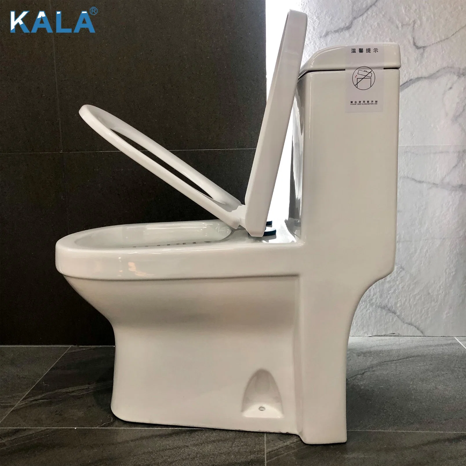 Rinçage facile sans rebord Modren Style lavage toilettes ASSISE MONOBLOC