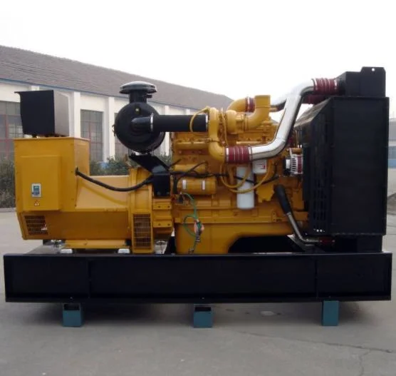 Gas Generator: 80kVA/88kw Farm, Straw Incineration, Pile Buried Biogas Generator, Natural Gas Multi-Source Applicable