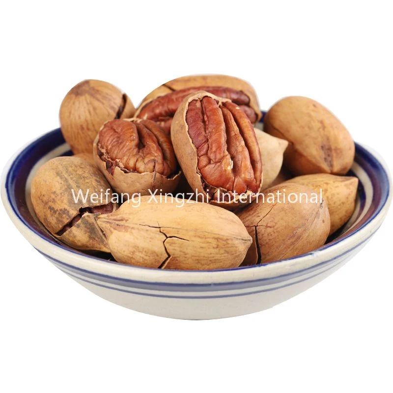 Healthy Snacks Daily Nuts Blanched Pecans