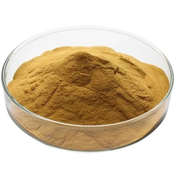 Allium Odorum Extract Powder 10: 1 Leek Seed P. E.