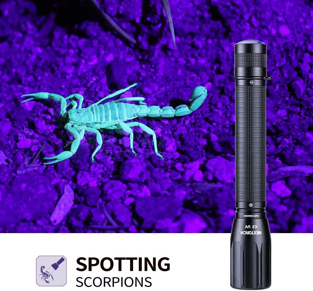 Luz de flash UV LED Mini Pocket Blacklight 365nm encuentra orina de Escorpión Corporal