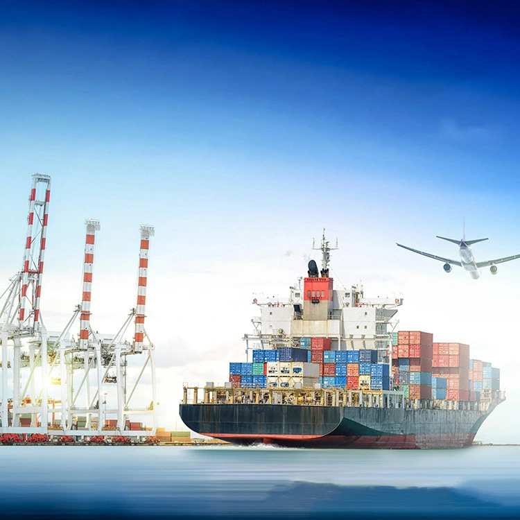 Sea Freight Forwarder Dropshipping Shipping Cargo Logistics Services From China to India