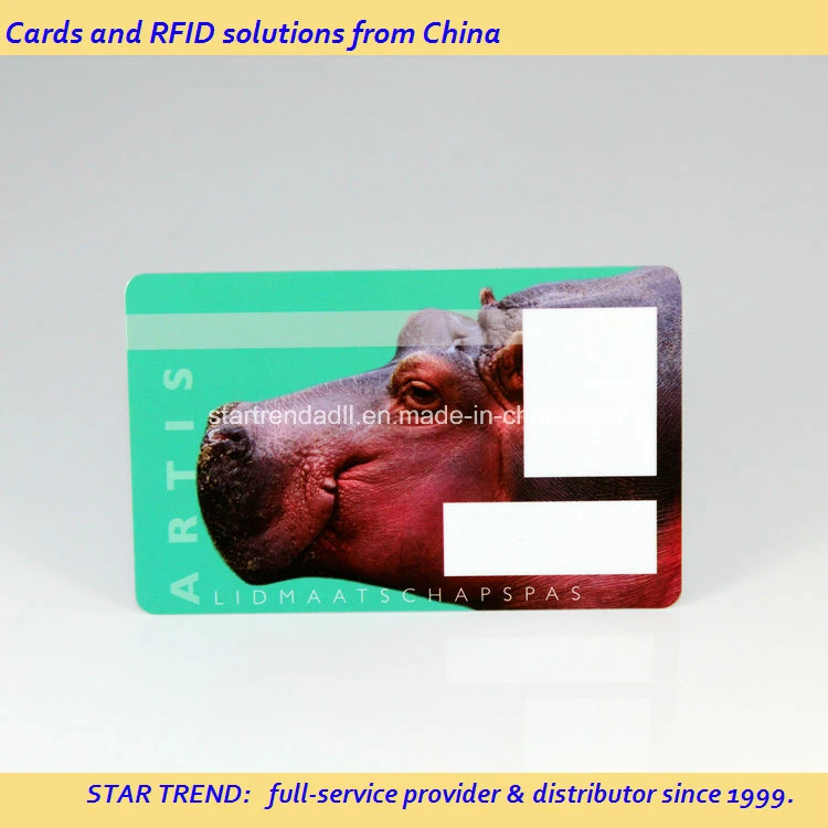 Cheap and Good Quality PVC Business/Promotion/Gift/Loyalty Cards