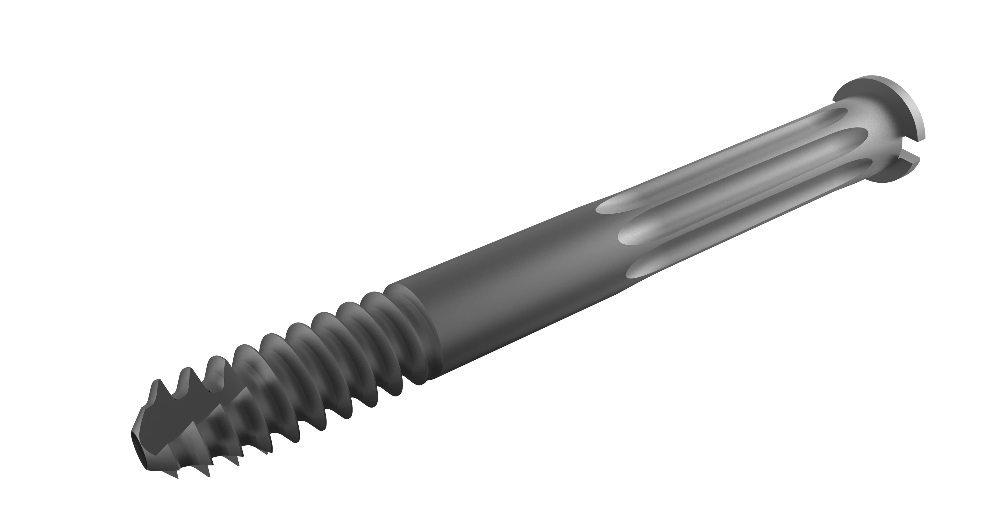 Lag Screw for Femoral Interlocking Pfna Nail Medical Devices